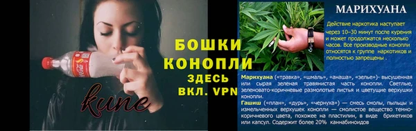 MESCALINE Бородино